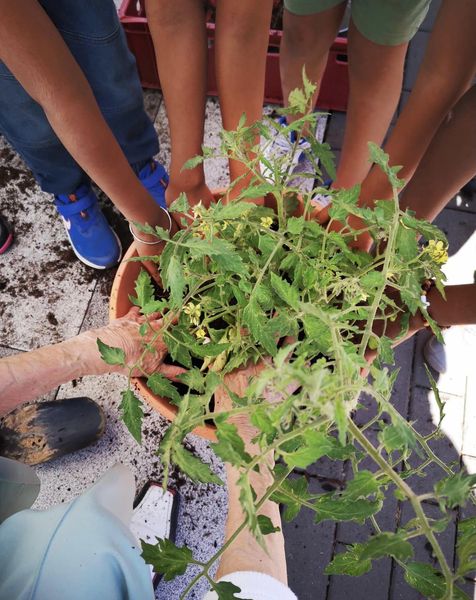 24.06.2023 – Gartenaktion